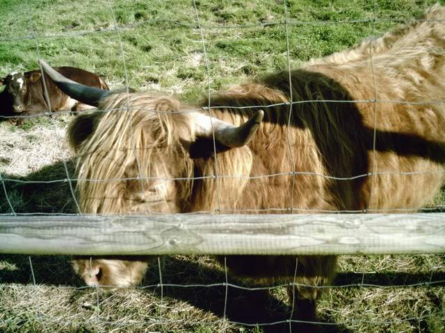 2008-09-20 - marcoussis (02)