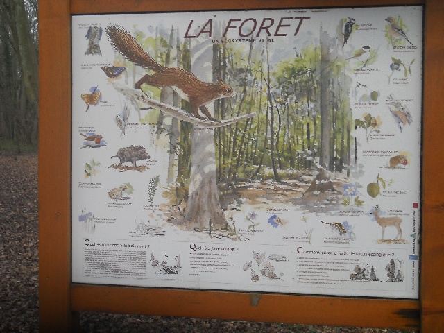 2013-03-10-ozoir-la-ferriere (05)