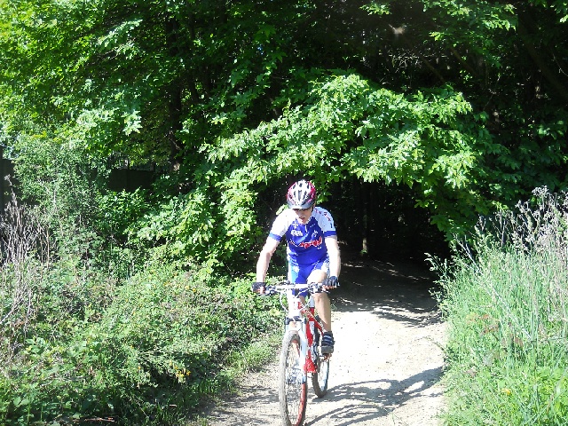 2013-06-07-ollainville (05)