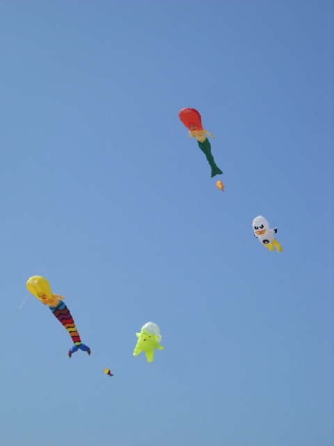 2013-07-12-barre-de-monts18