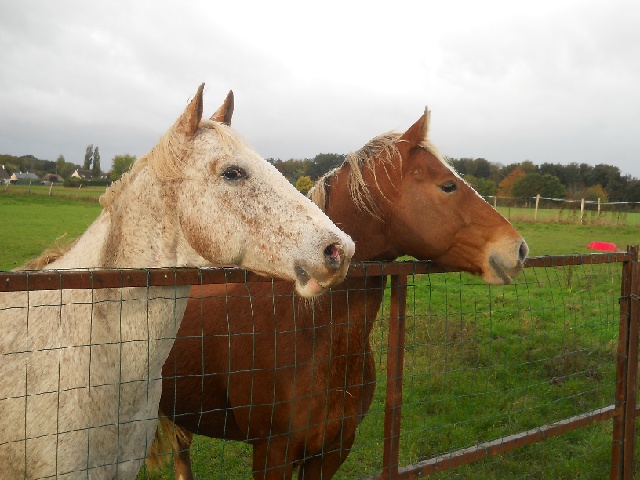 2013-10-27-la grangeoise (02)