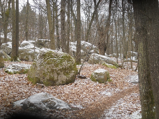 2013-02-24-retrouvailles (15)