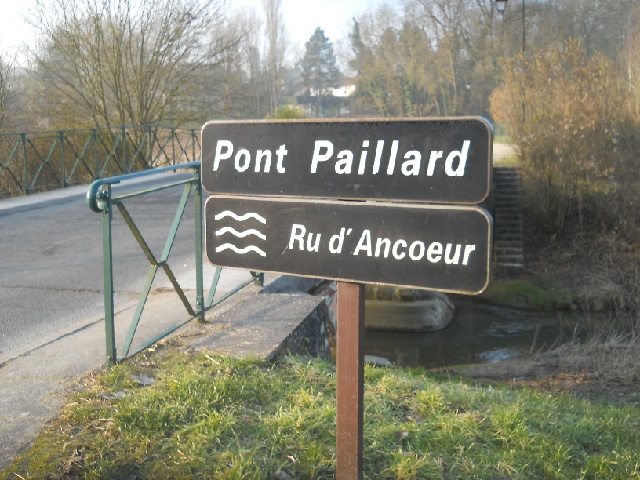 2013-03-03 - moisenay (06)