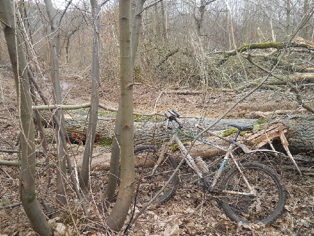 2013-03-27-limours (10)