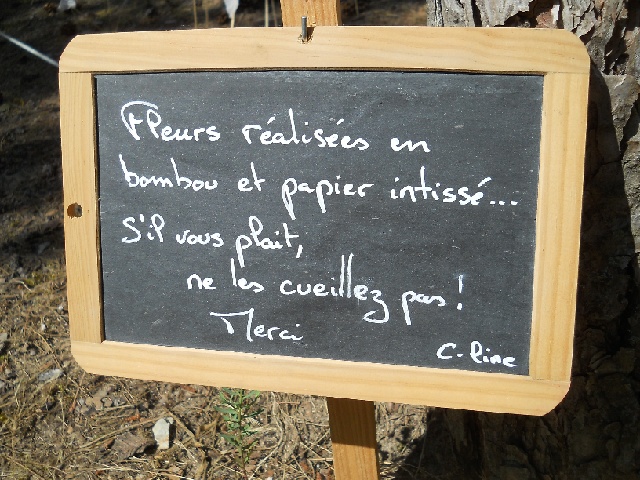 2013-07-12-barre-de-monts10