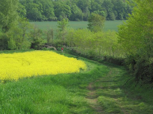 2010-05-09 - mormant (29)