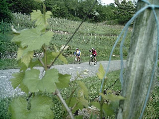 2010-05-13 - chateau-chalon (136)