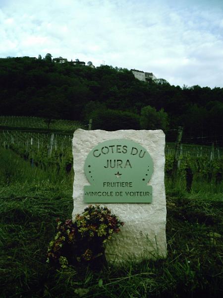 2010-05-13 - chateau-chalon (139)