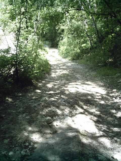 2010-06-25-etampes (06)