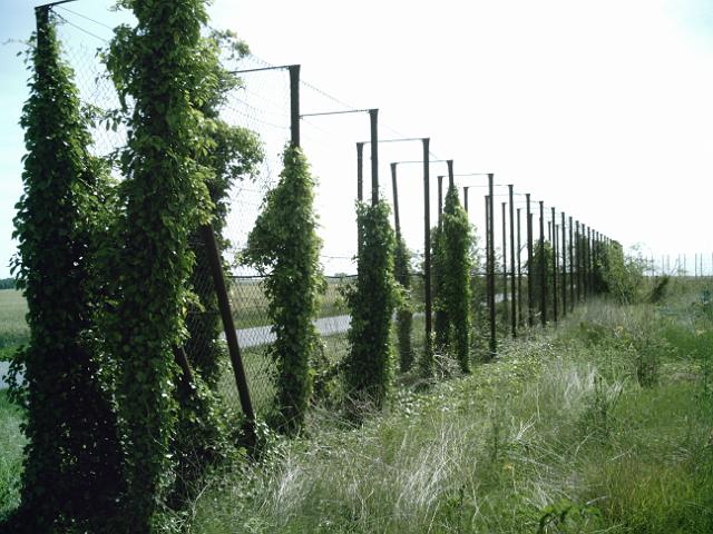 2010-06-25-etampes (12)