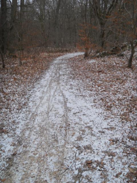 2012-02-05-dammarie (02)
