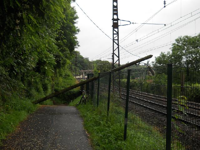 2012-07-08-melun (10)