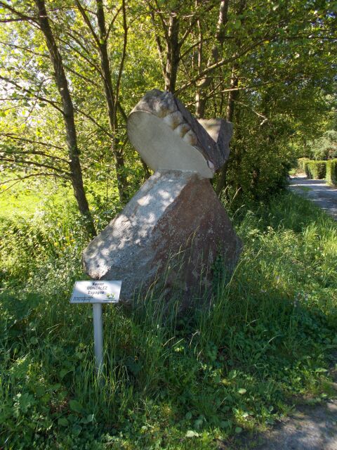 2017-05-25 - conde-sur-vire (016)