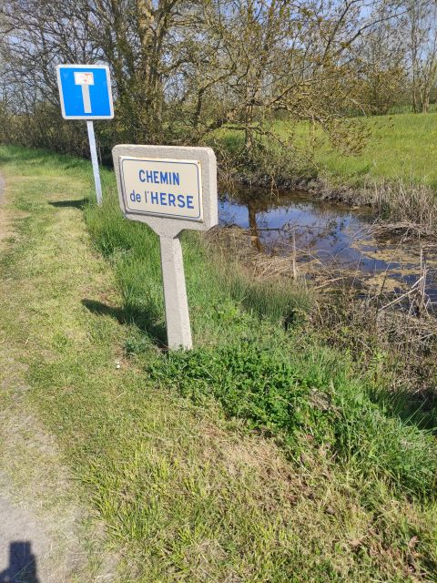 2021-04-08 - saint-jean-de-monts (09)