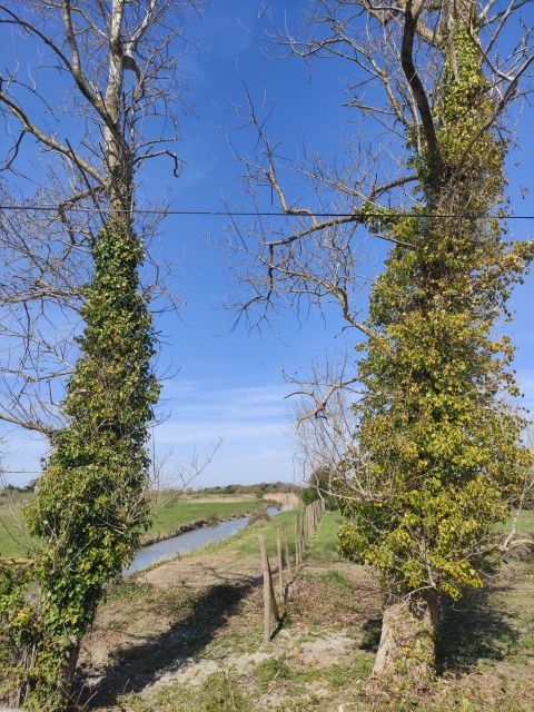 2021-04-08 - saint-jean-de-monts (11)