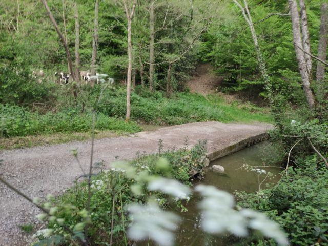 2021-04-25 - la chapelle-hermier (02)