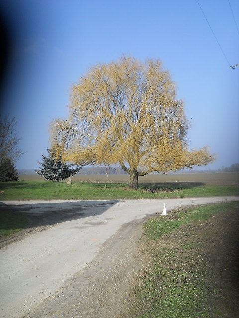 2013-03-03 - moisenay (19)