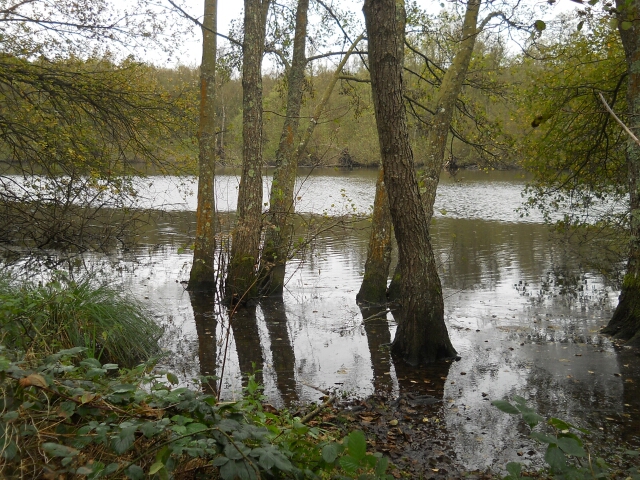 2014-10-12-choisel (23)