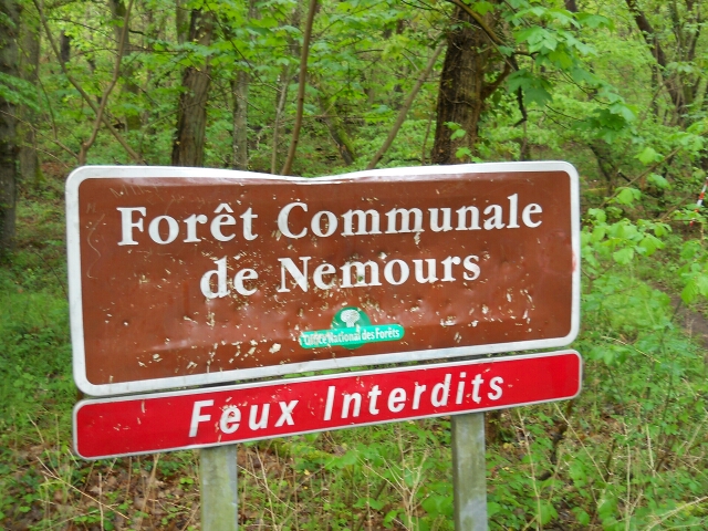 2014-04-27-poligny (09)