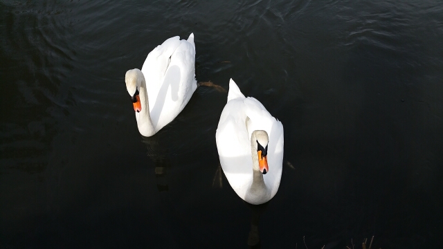 2015-03-07-itteville (04)