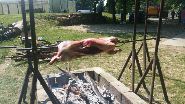 2015-06-05-palaiseau (16)