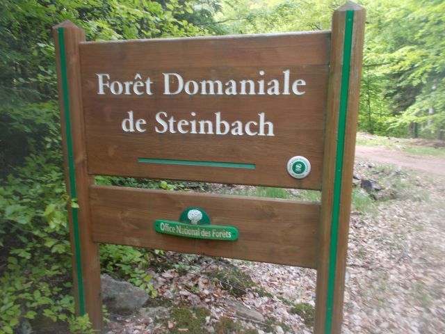 2019-05-10 - obersteinbach (54)