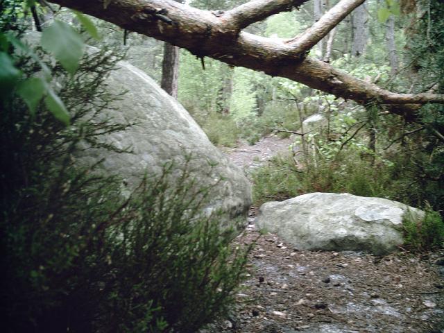 2009-05-10-polinoise (01)