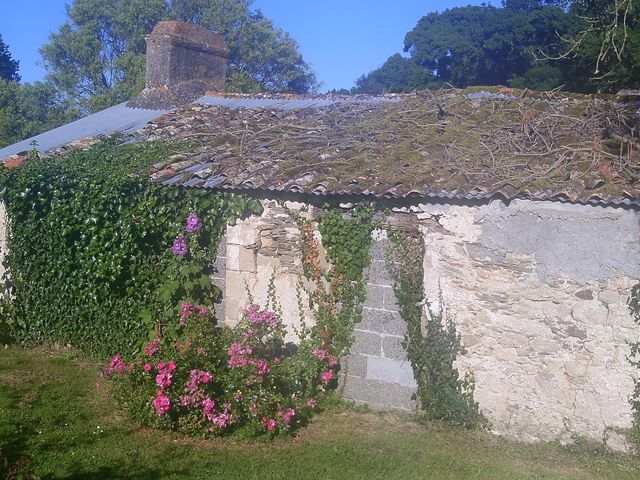 2016-07-17-chateauneuf (06)