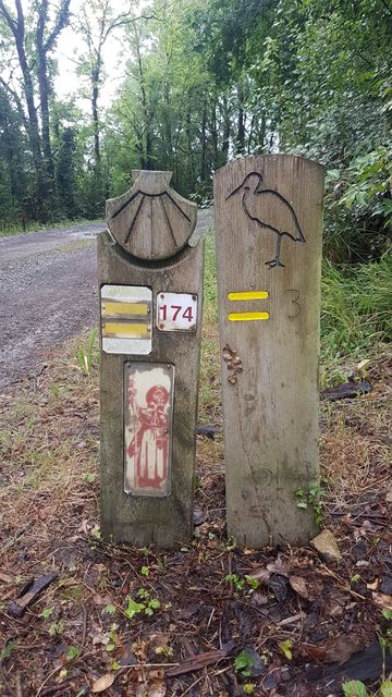 2017-07-27_bouin (06)