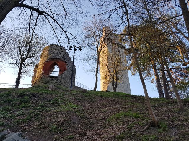 2019-03-31 - villiers-sur-orge (07)