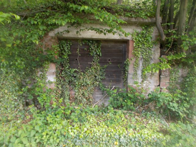 2019-05-10 - obersteinbach (13)