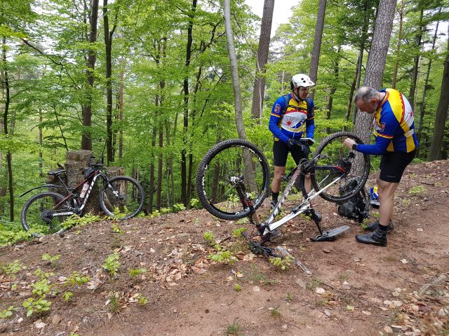 2019-05-10 - obersteinbach (37)