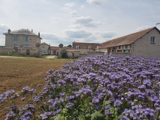 2019-05-22 - boissy-sous-saint-yon (02)