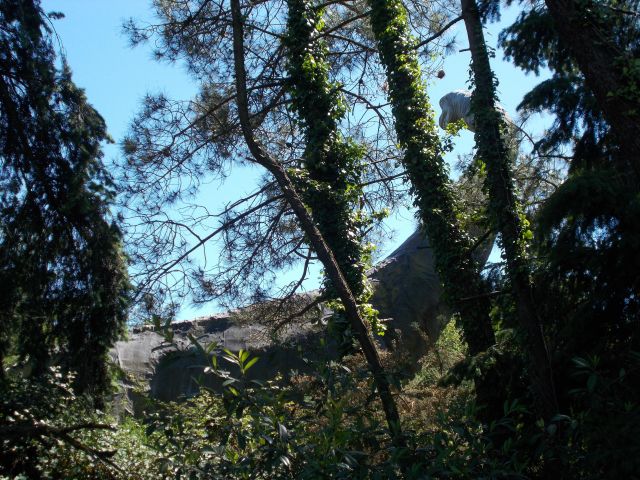 2019-05-31 saint-laurent-sur-oust (61)