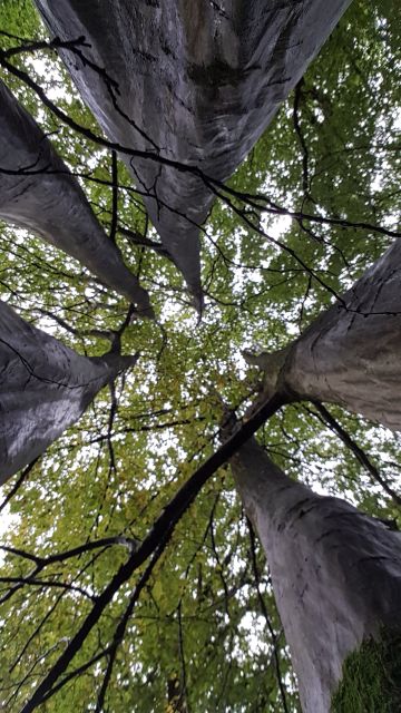 2019-09-29 - saint-remy-les-chevreuse (28)
