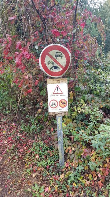 2019-09-29 - saint-remy-les-chevreuse (37)