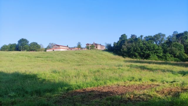 2023-05-28 - saint-georges-de-montaigu (05)