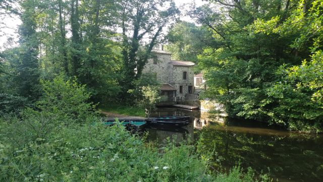 2023-05-28 - saint-georges-de-montaigu (08)
