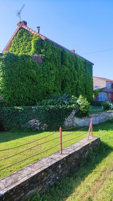 2023-05-28 - saint-georges-de-montaigu (15)