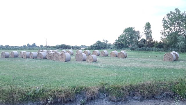 2017-08-01 saint-christophe-du-ligneron (01)