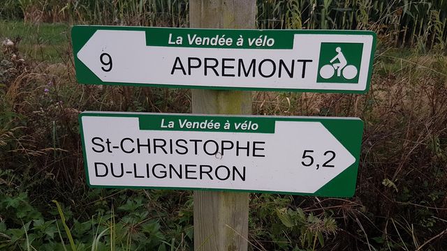 2017-08-01 saint-christophe-du-ligneron (03)