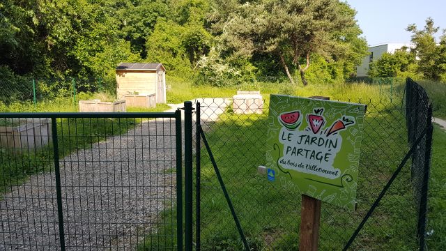 2018-05-19 - reau (13)