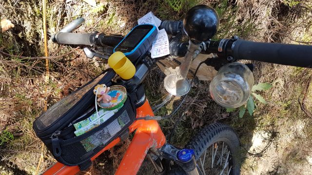 2018-09-02 - rambouillet (09)