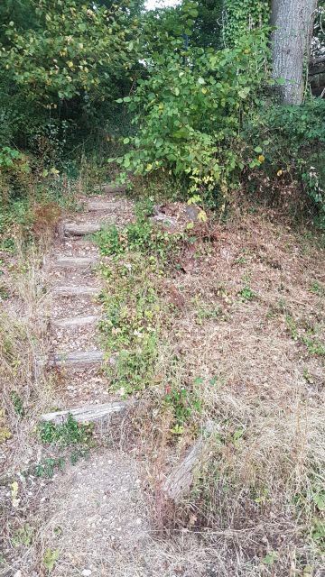 2018-09-22 - bonnelles (05)