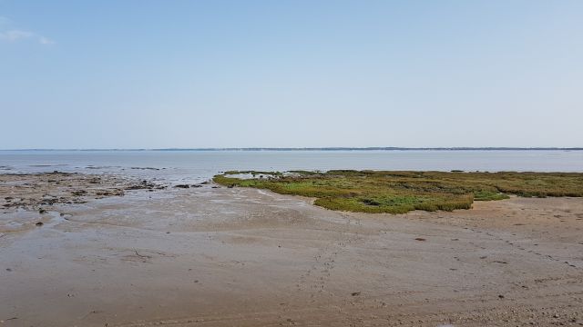 2019-07-23 - bouin (10)