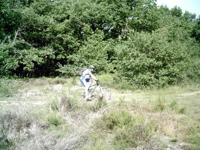2010-06-27-mennecoise (06)
