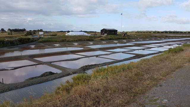 2017-07-23 - olonne-sur-mer (06)