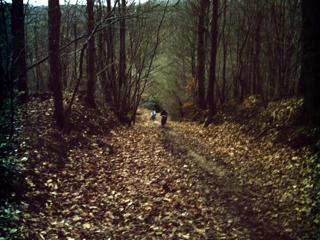 2008-01-13 - versailles (02)