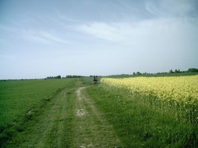 2008-05-04 - nesles (11)