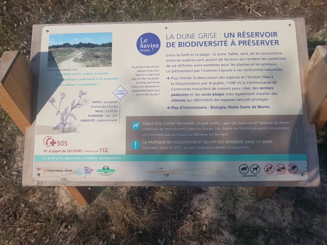 2020-09-17-la-barre-de-monts (12)